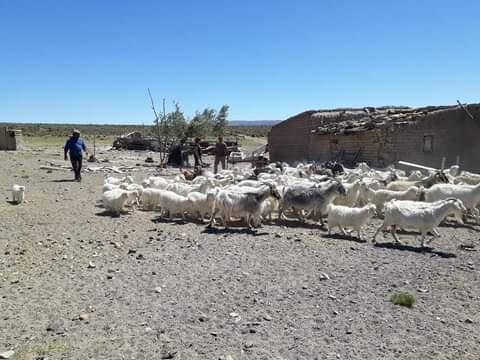 Meseta 3