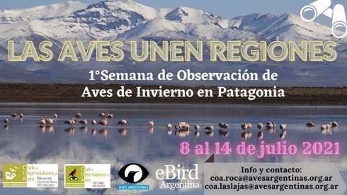 Observación de aves