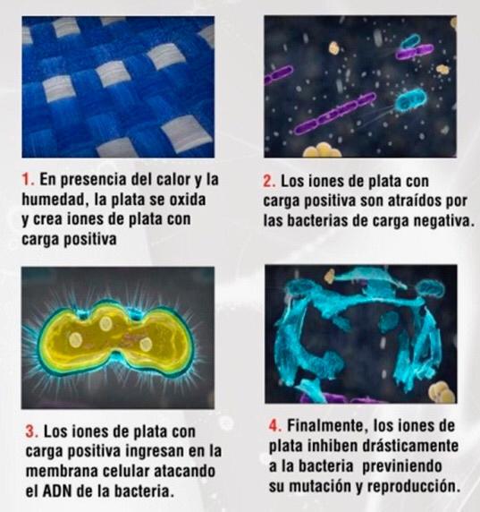Hilo de plata proceso