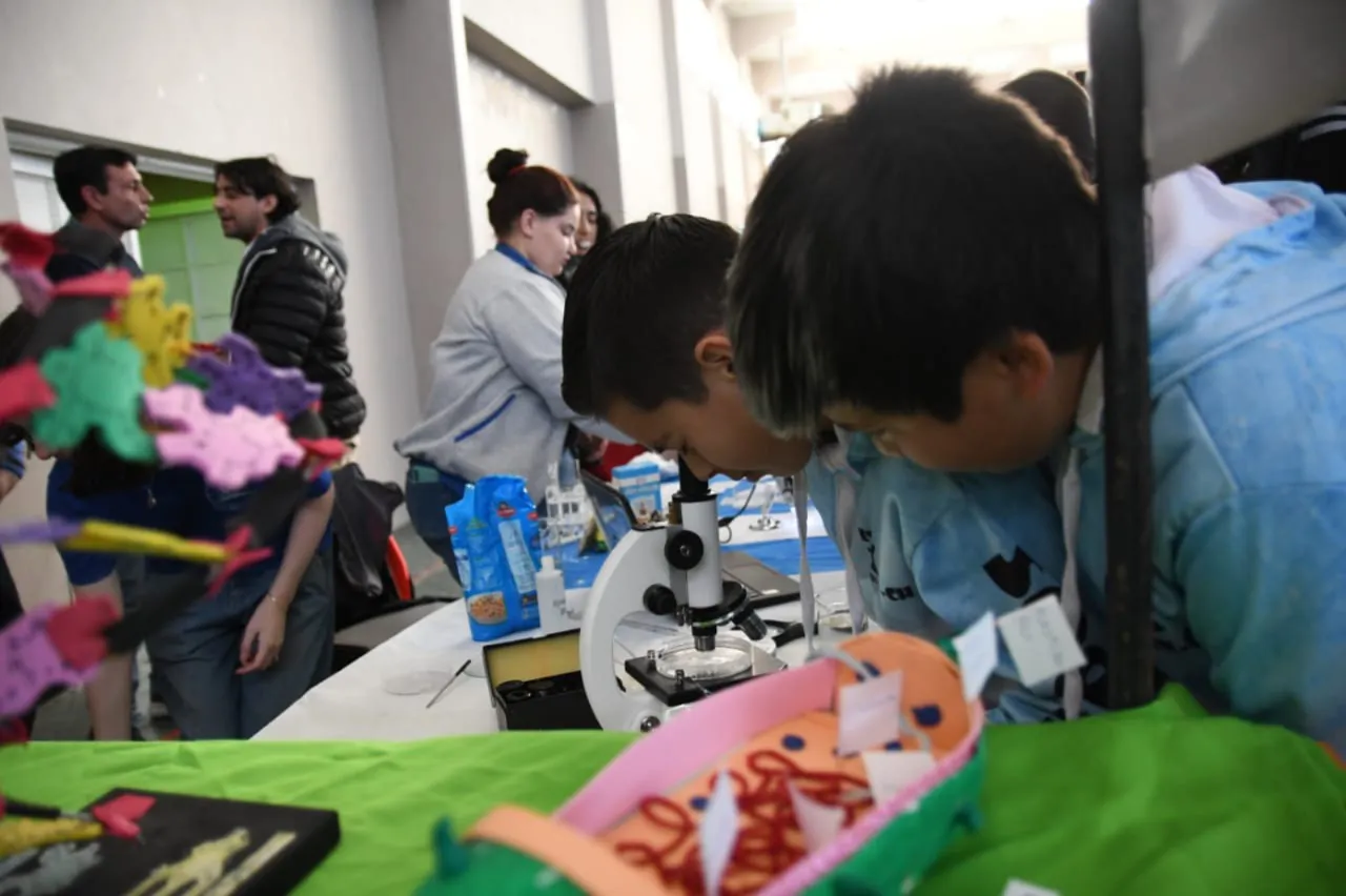 Feria de Educación, Artes, Ciencias y Tecnología 2025 (3) (1)