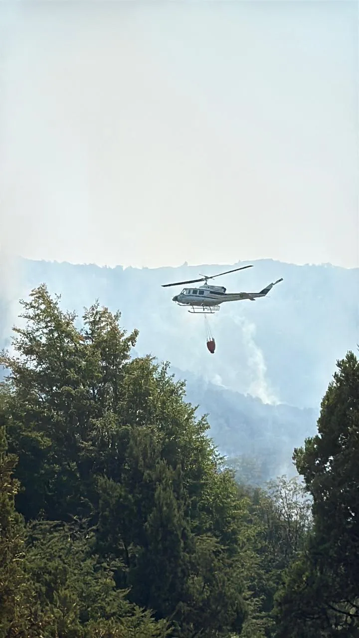 WhatsApp Image 2026-02-11 at 12.15.12 PM