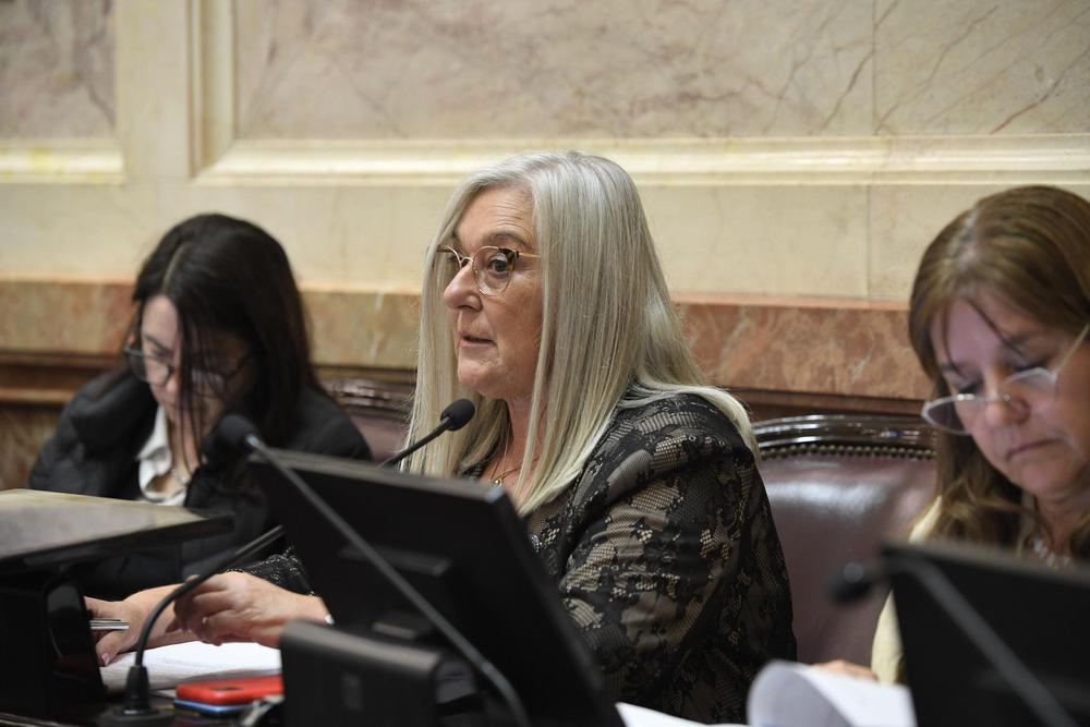 20240612LI_085_SESION_PUBLICA_ESPECIAL_LEY_BASES