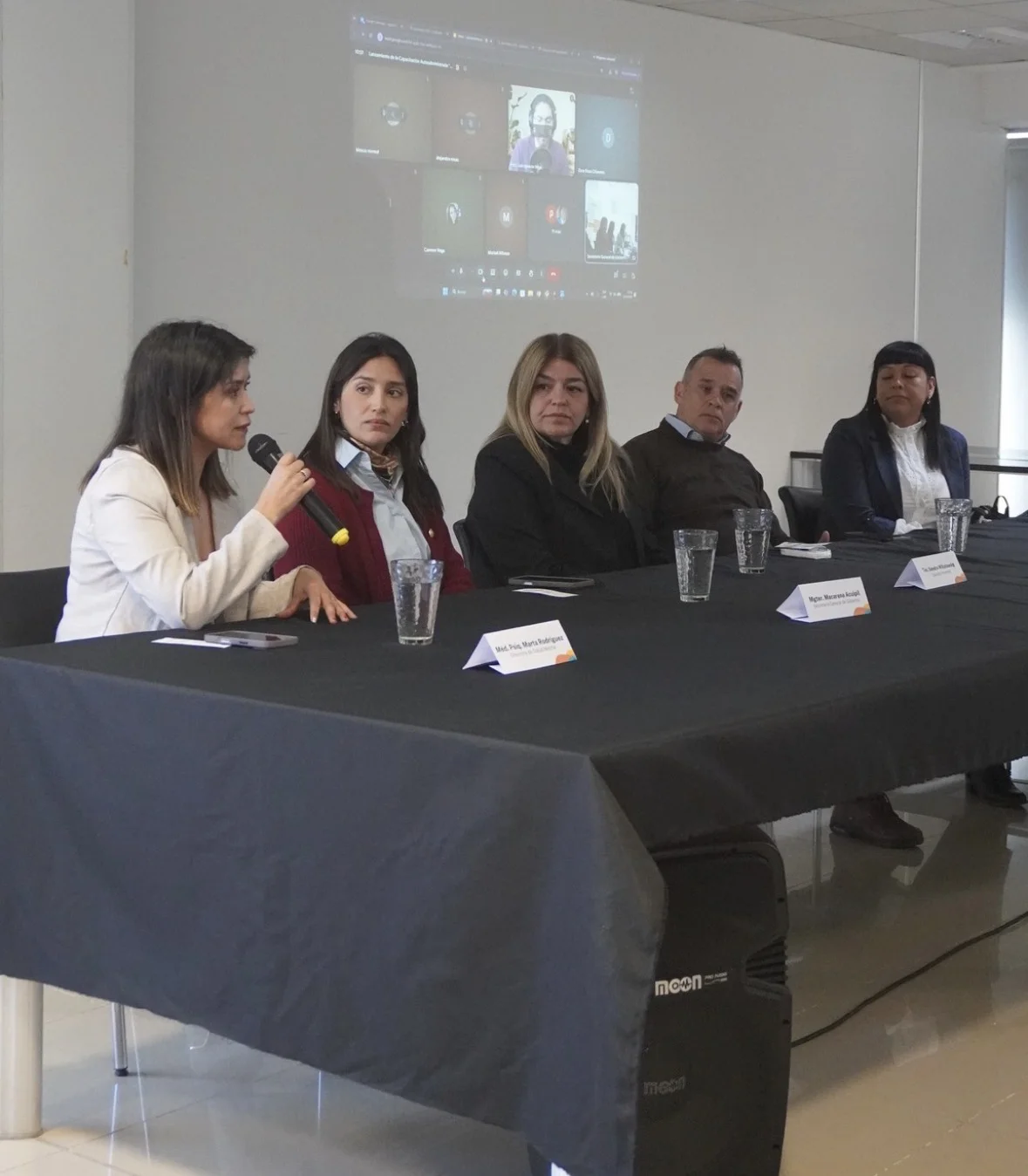Salud Mental, Crisis y Primera Respuesta (1)