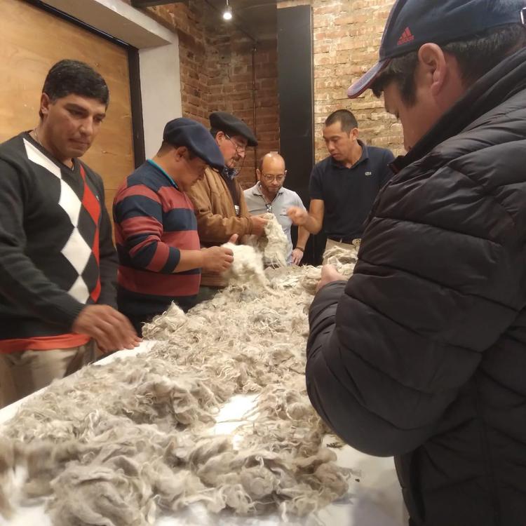 Provincia participó de una reunión técnica del Programa Mohair (3)