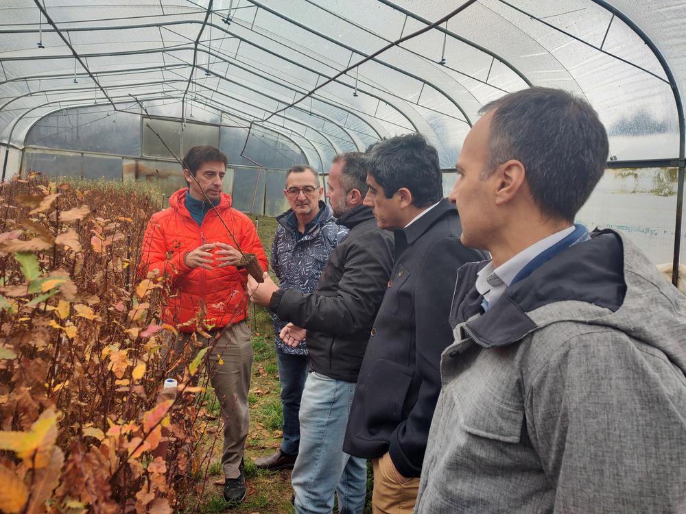 BOSQUES. NACIÓN  (3)