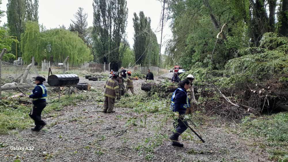 WhatsApp Image 2023-10-29 at 13.34.35