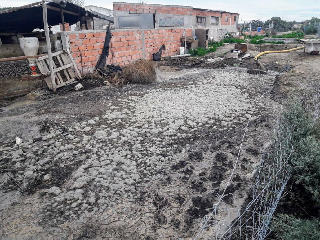 InspeccionAmbiente1