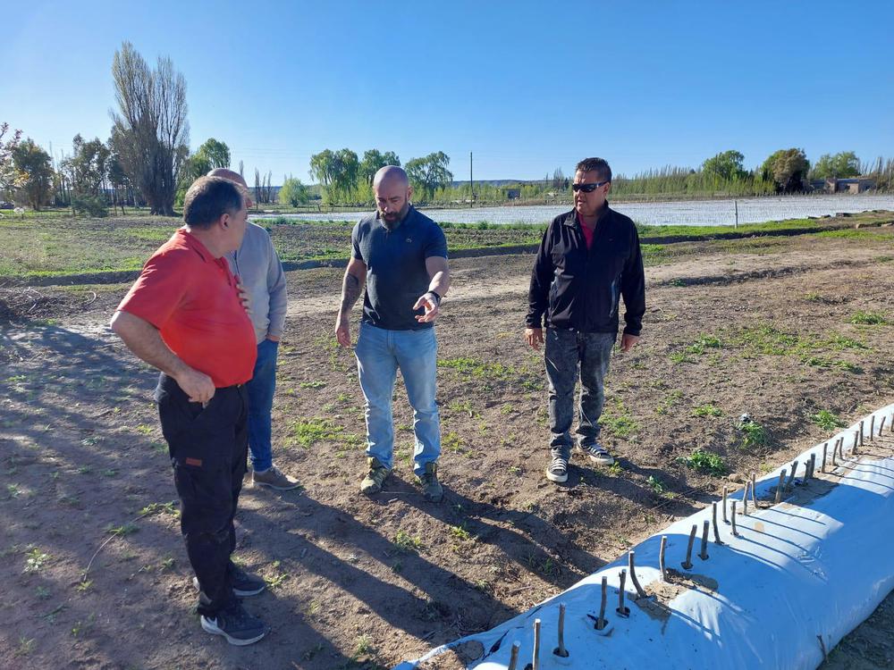 Visita productores de cerezas (2)