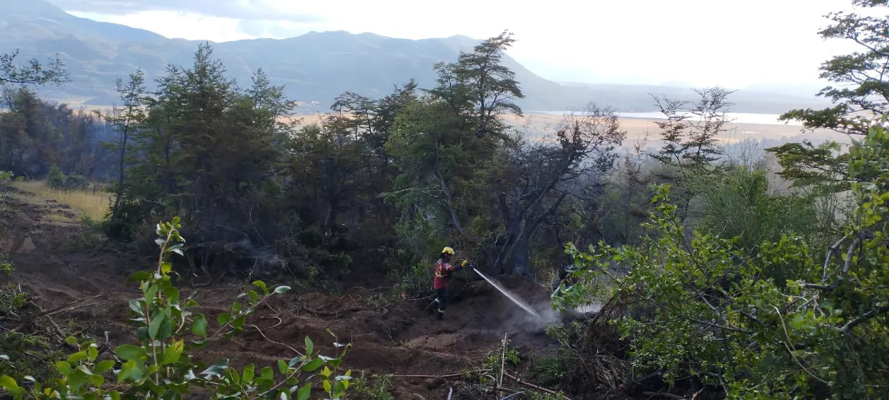 Fotos Incendio 25-02 (2)