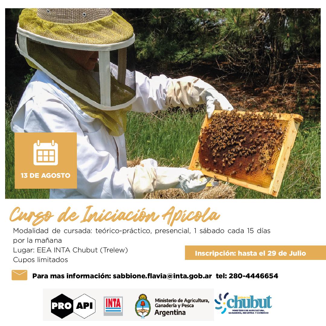 curso iniciación apicola 2022