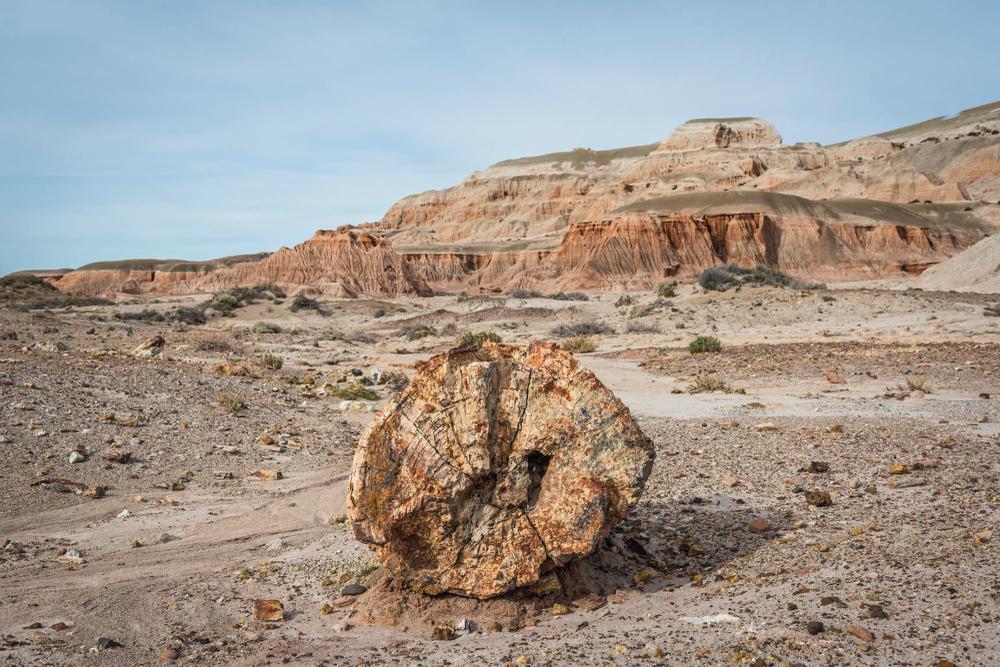 batch_6. Rocas Coloradas