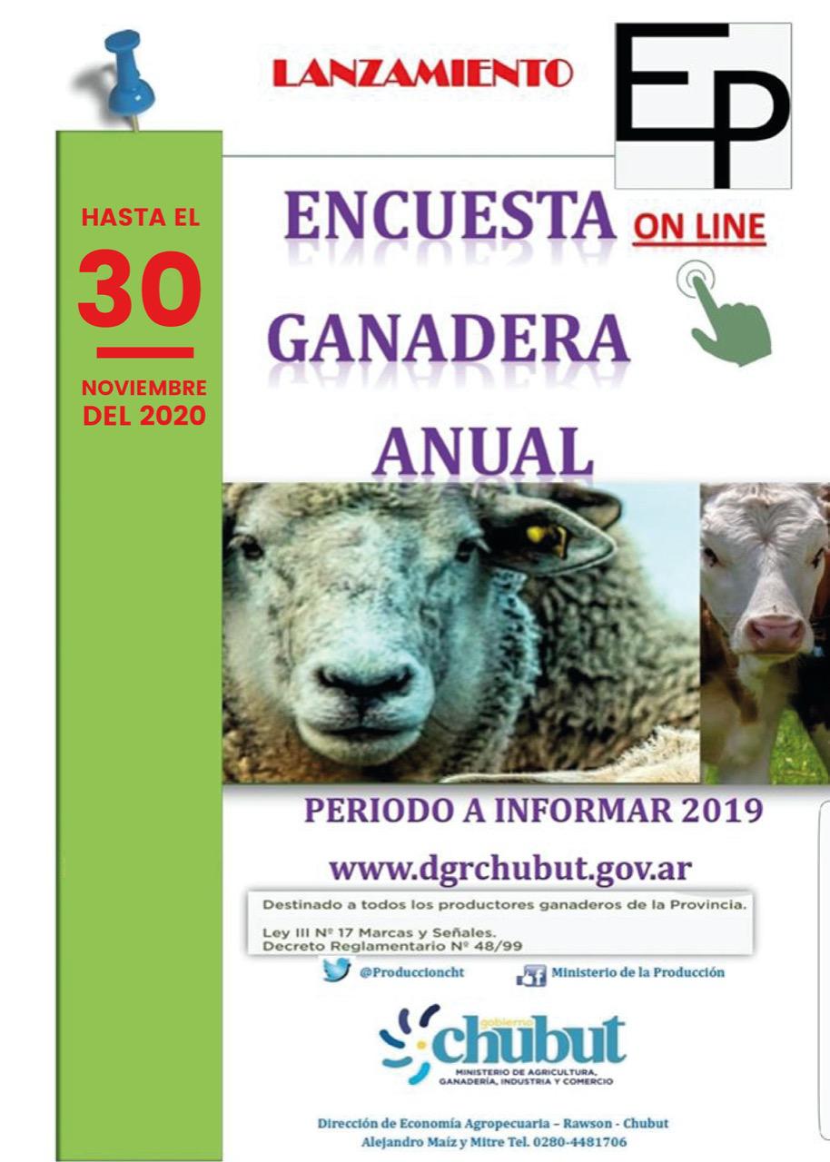 Encuesta Pecuaria 2020