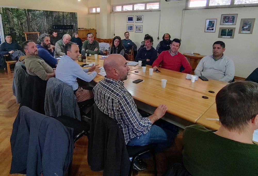 Protección bosque nativo  (1)