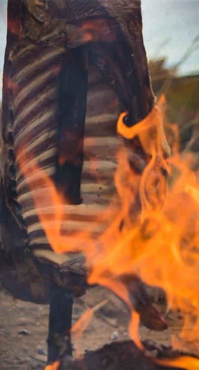 Capón asándose  (2)