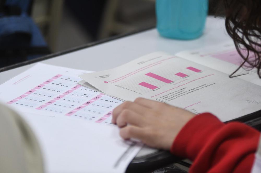 Evaluaciones Aprender (2)