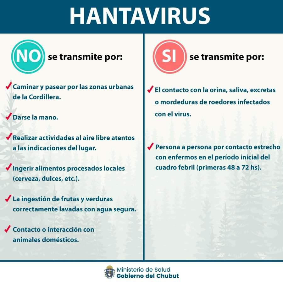 prevencion hantavirus (1)