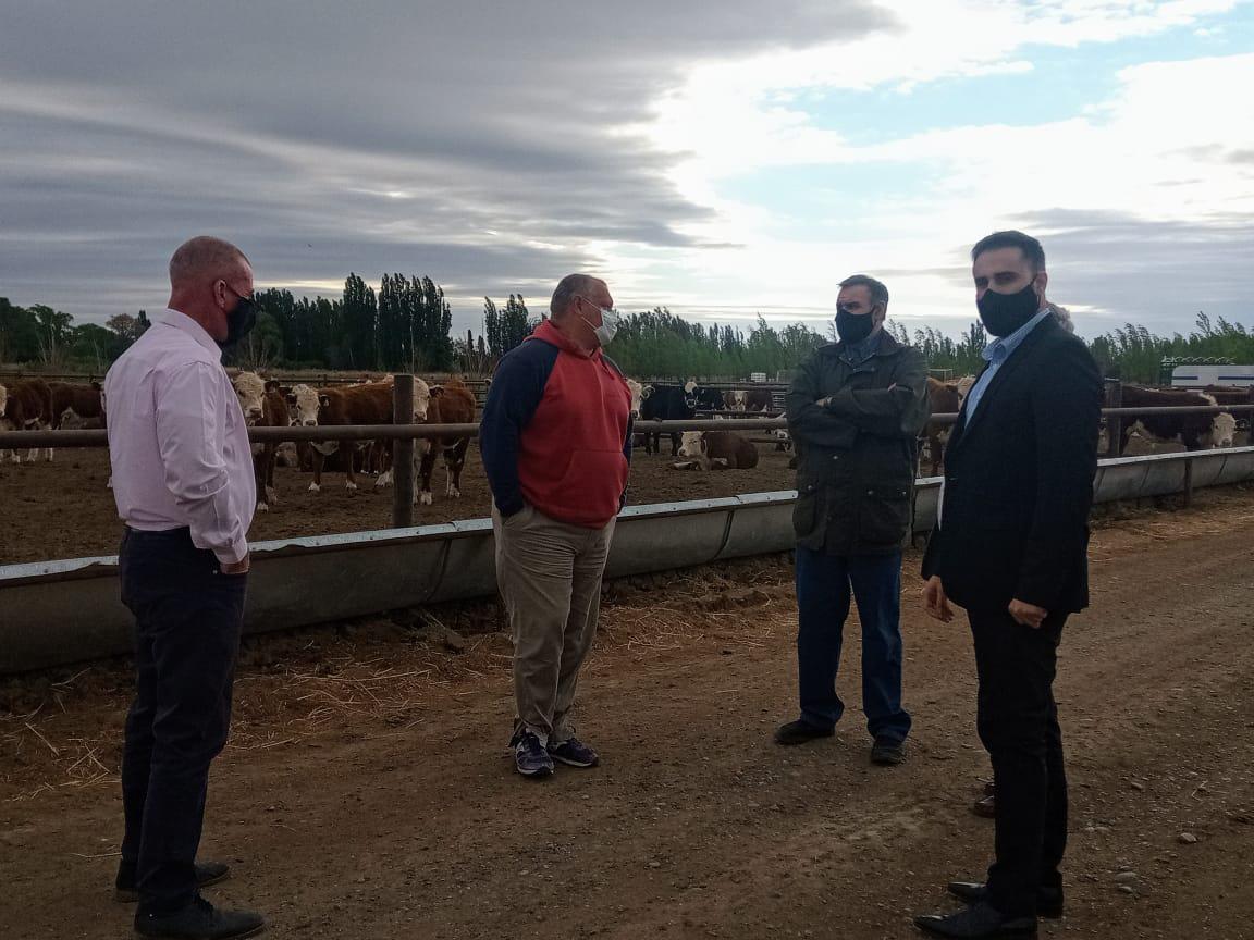 Visita de Cavaco 2