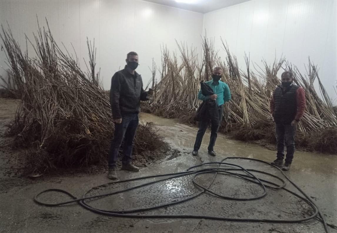 Cooperativa Cerecera (1)