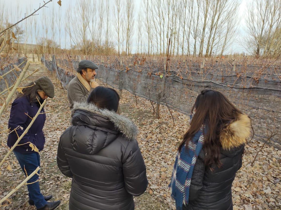 Encuentro Regional del Vino (1)
