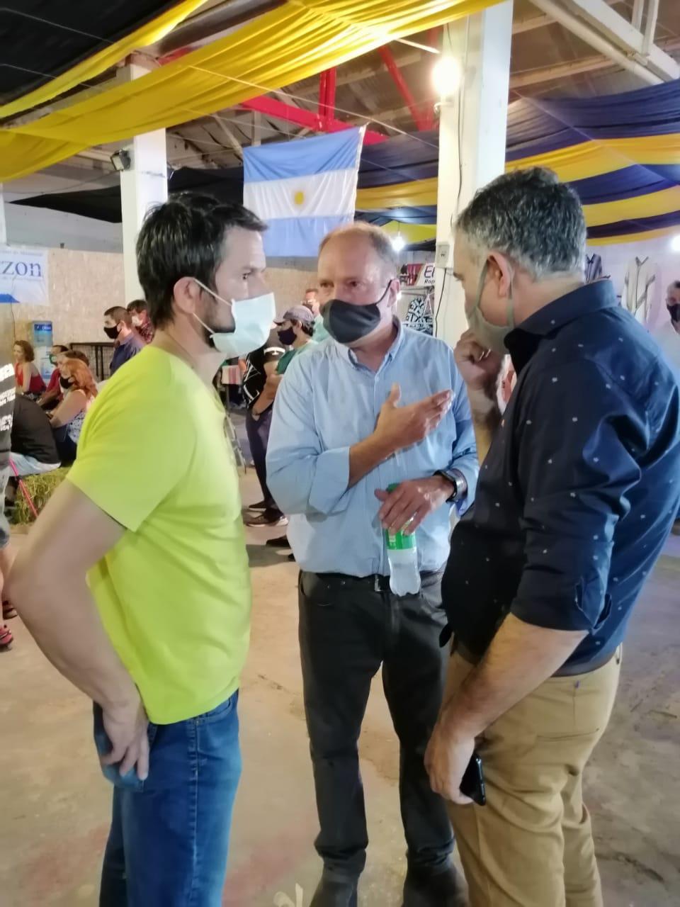 Merino Irianni Pagliaroni