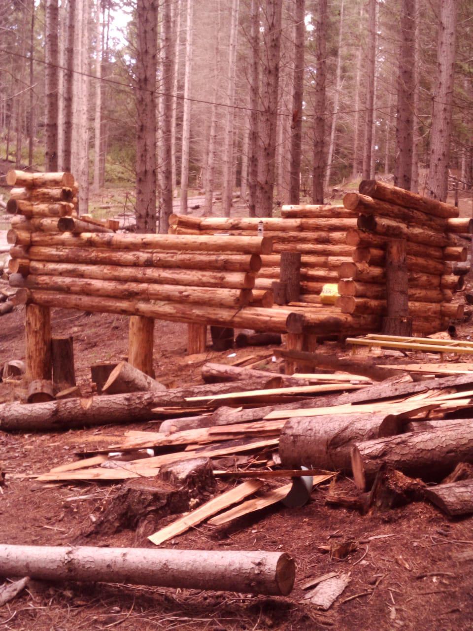 INV. BOSQUES (1)