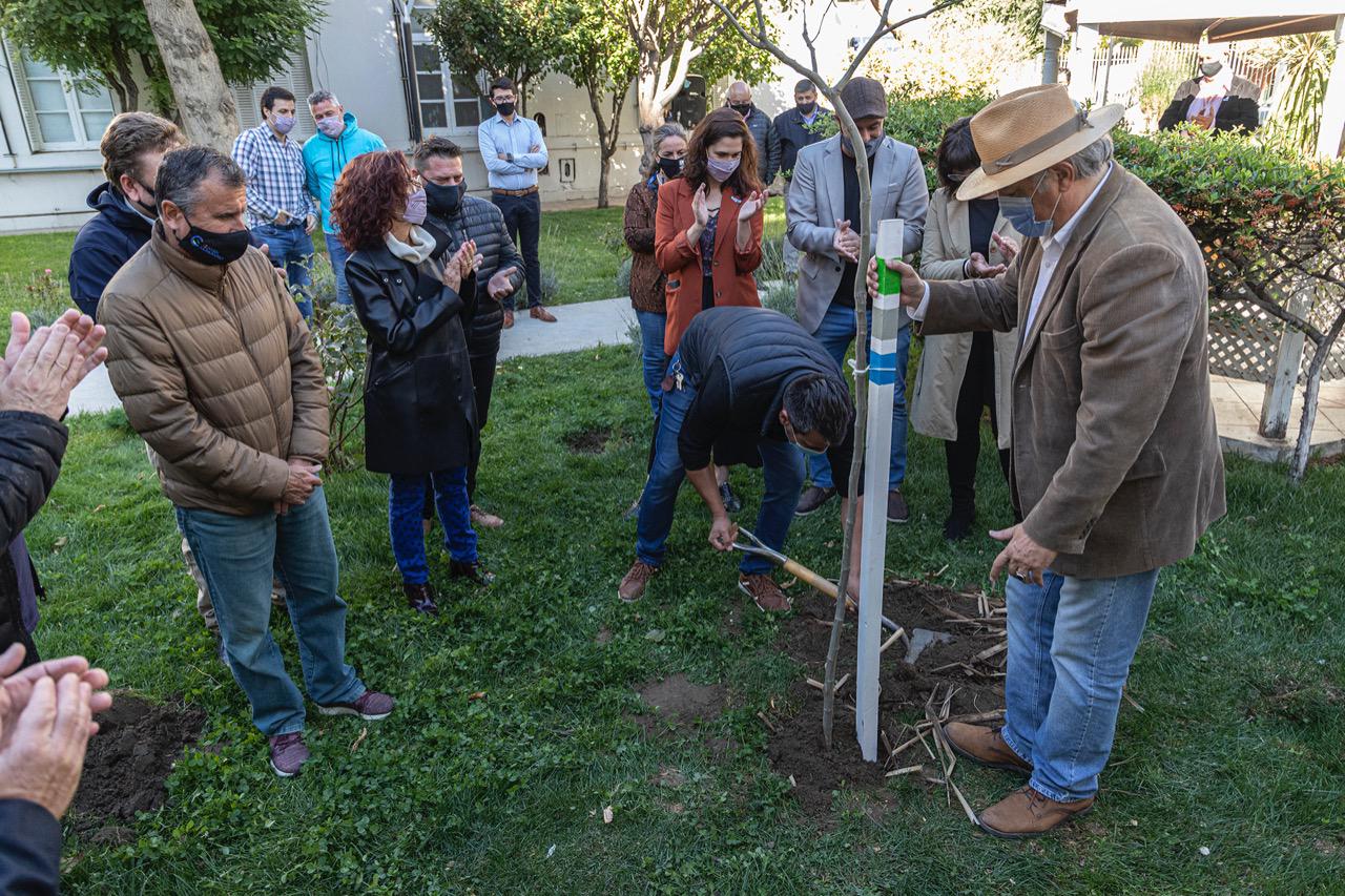 plantamos memoria (2)