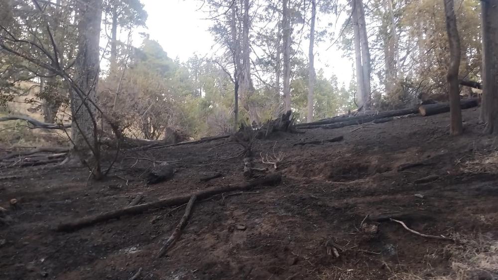 El Gobierno del Chubut control� un incendio forestal y contuvo el avance de otro en la zona de Trevelin  (1)