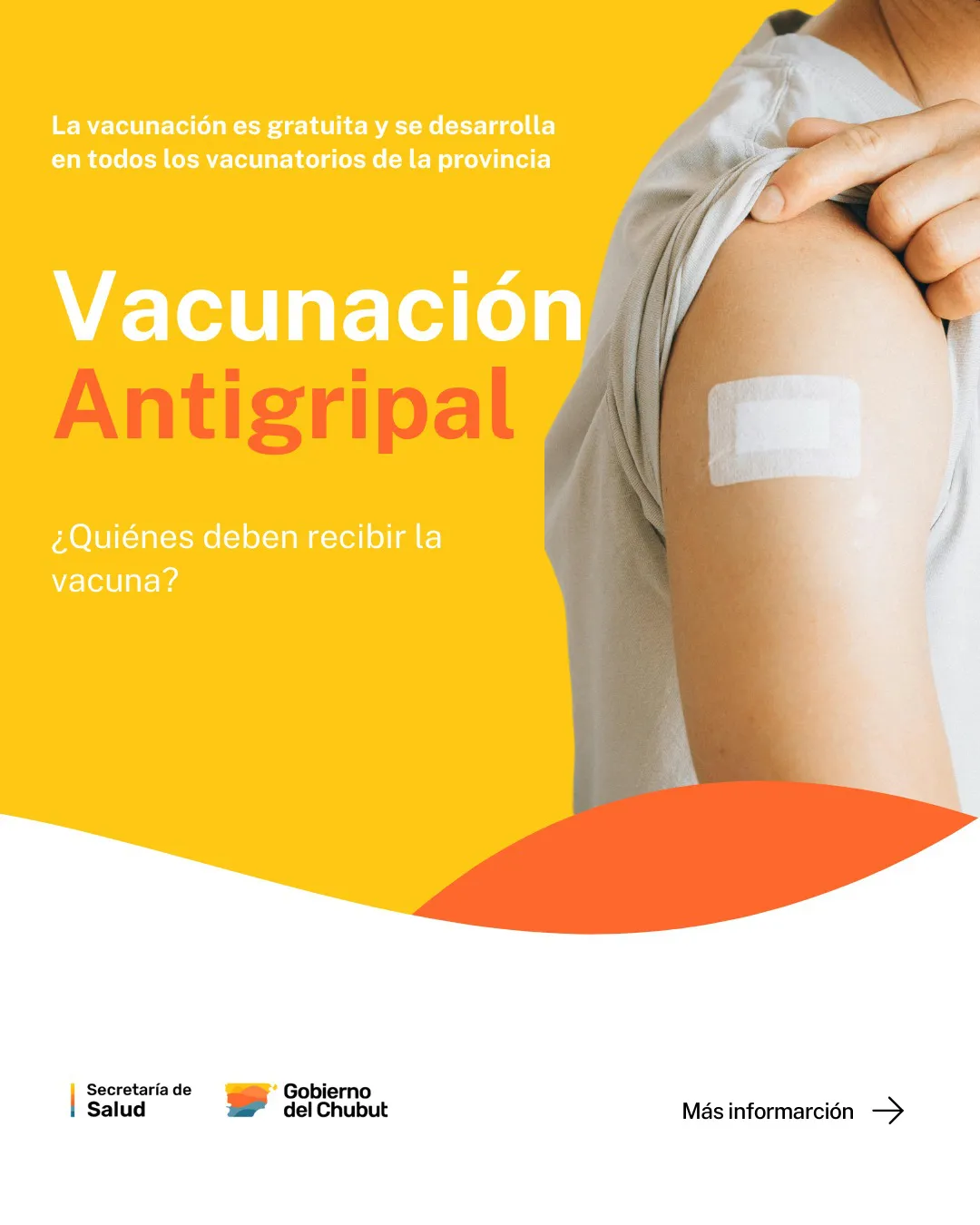 Foto 1 - placas vacunacion antigripal (1)