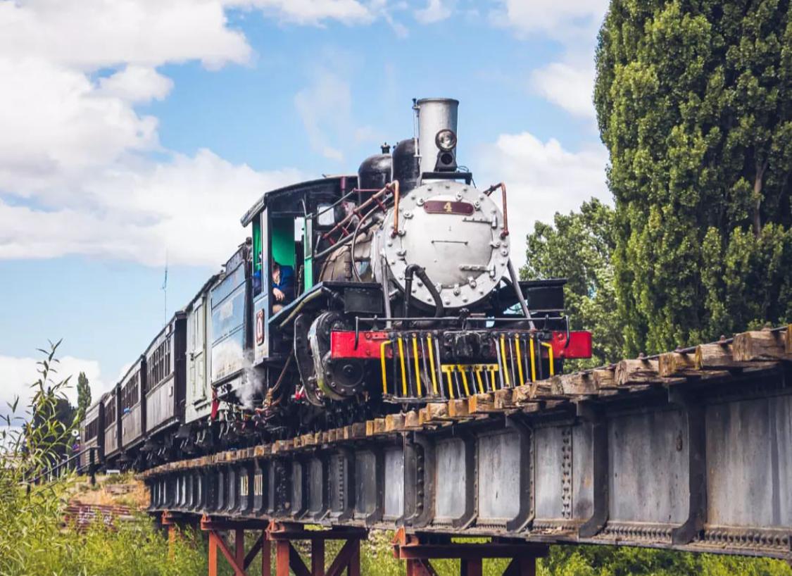 fiesta tren a vapor