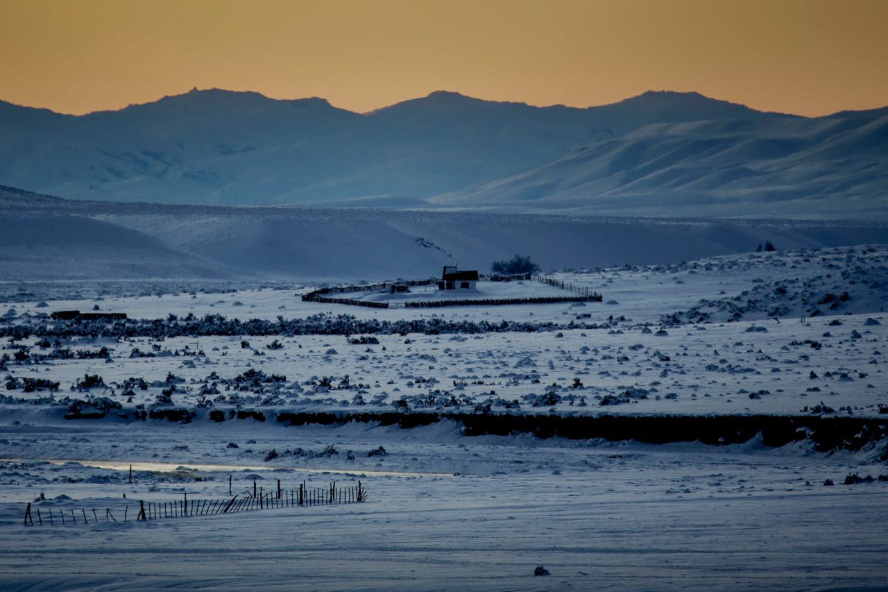 WhatsApp Image 2020-07-26 at 15.07.58