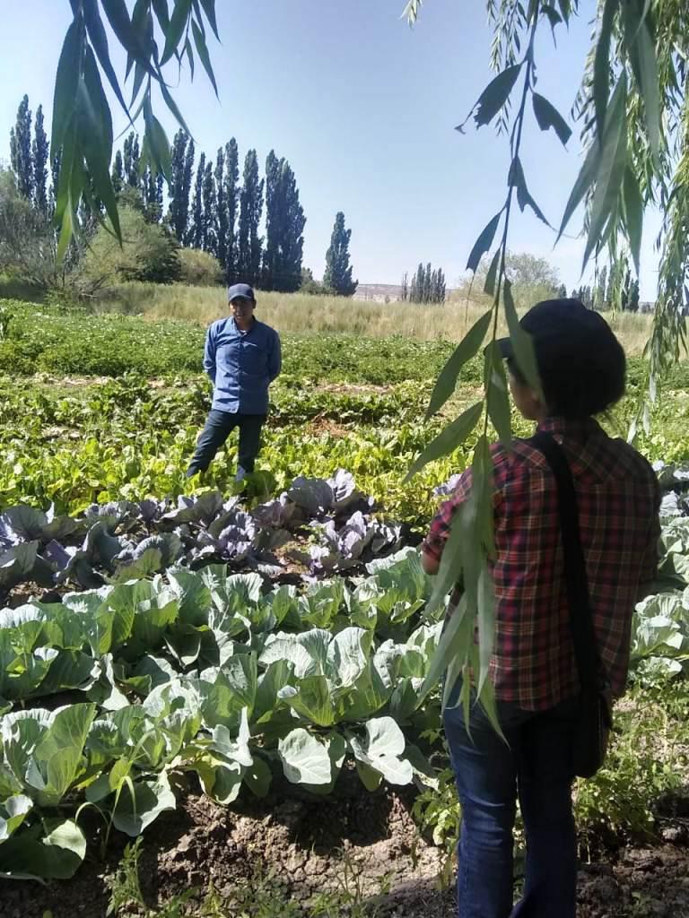 sanida vegetal I (1)