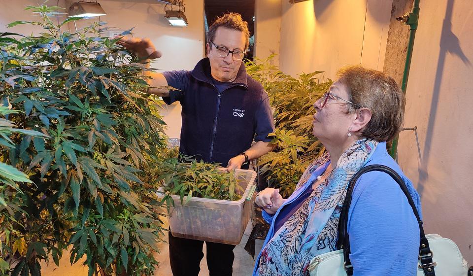 programa cannabis madryn (2)