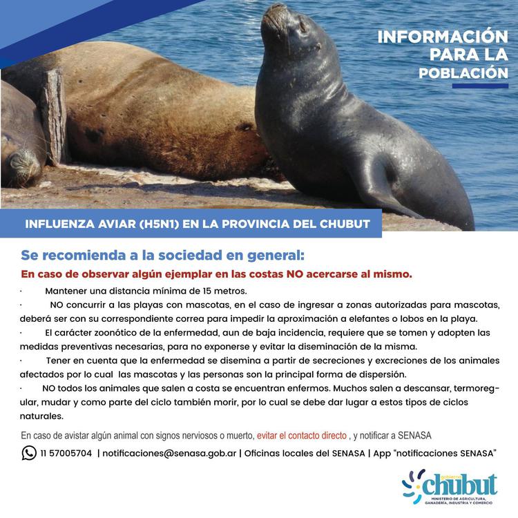 PROVINCIA INFLUENZA AVIAR