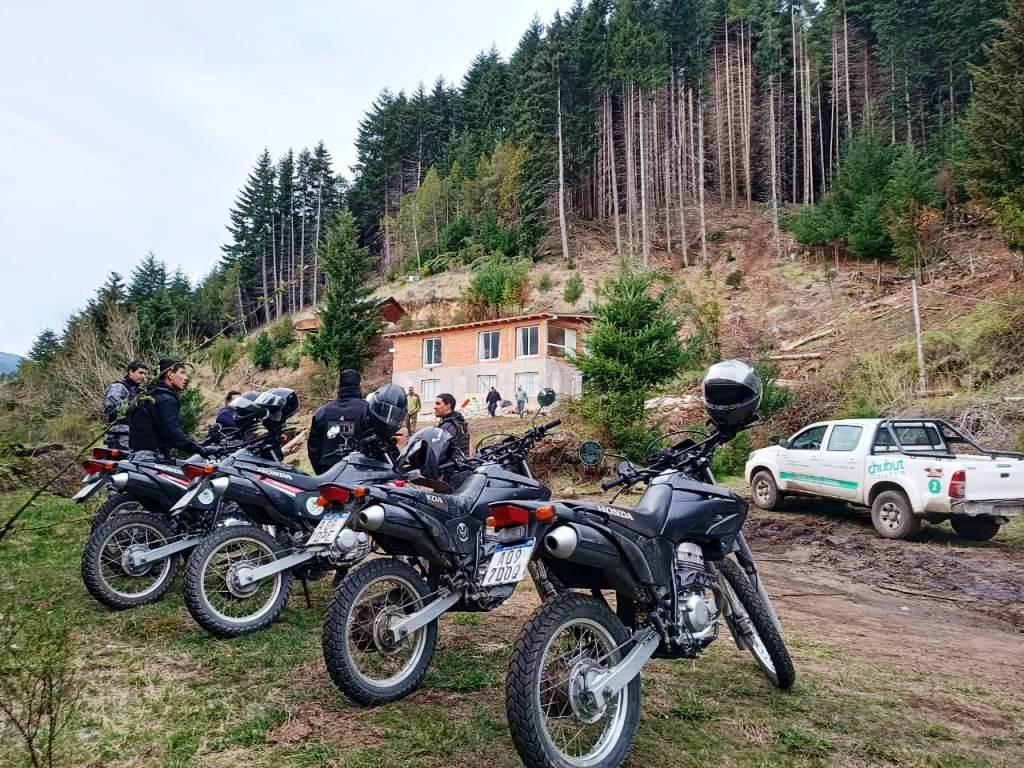 TALA ILEGAL (1)