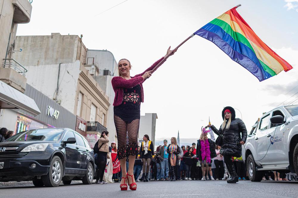 Marcha del Orgullo (6)