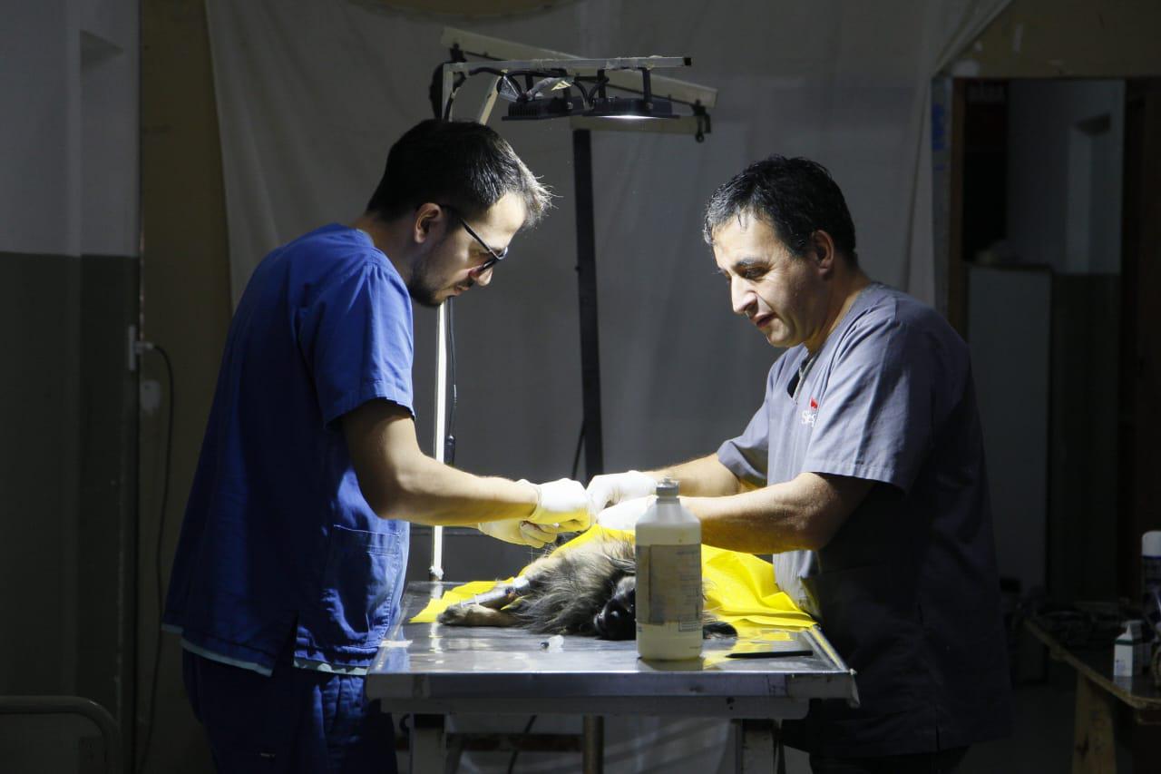 Veterinaria en tu barrio estuvo en el Área 16