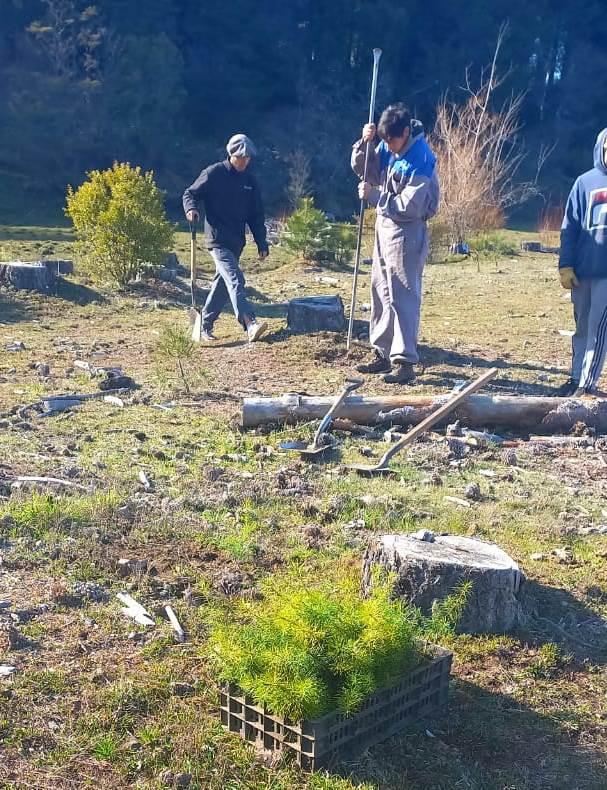 Plan de reforestación Corcovado (4)