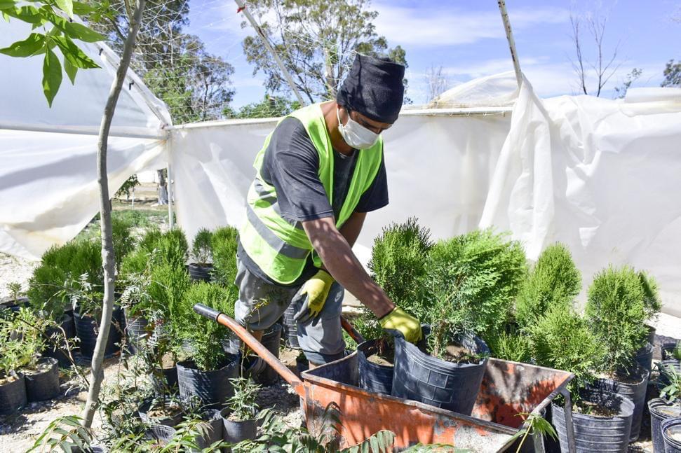 Vivero Madryn
