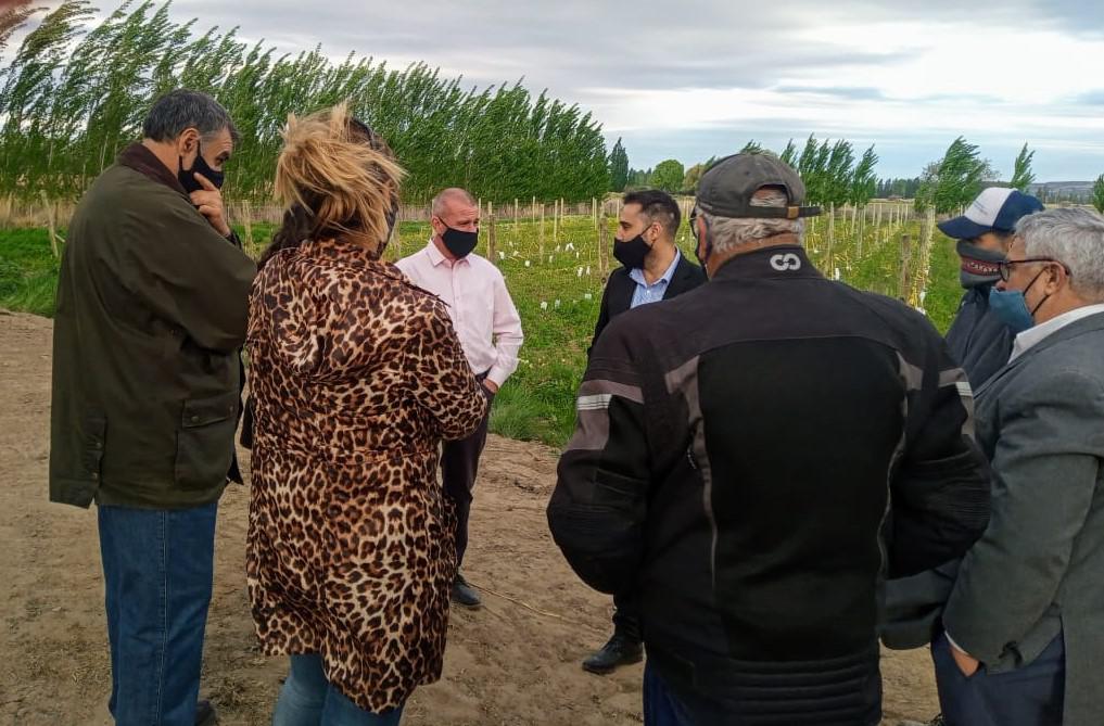 Visita de Cavaco 4