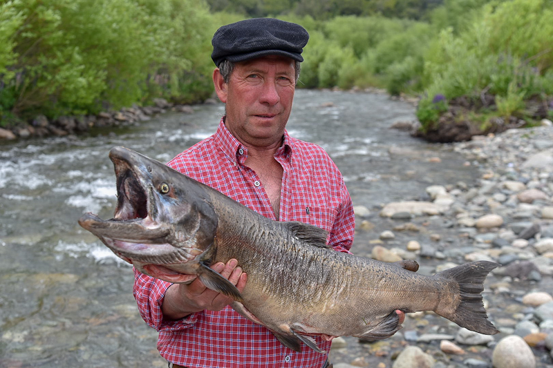 CARRENLEUFÚ. FIESTA DEL SALMÓN (2)