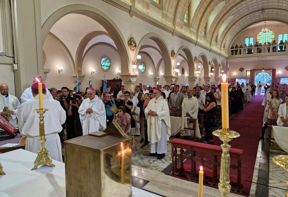 WhatsApp Image 2024-02-17 at 19.29.47