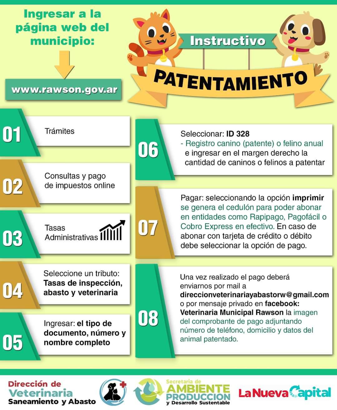 Flyer Instructivo patentamiento