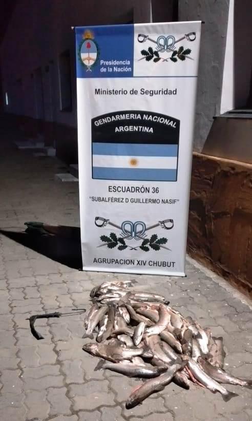 pesca