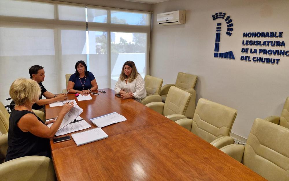 Reunión Comisión de Receso jueves (4)