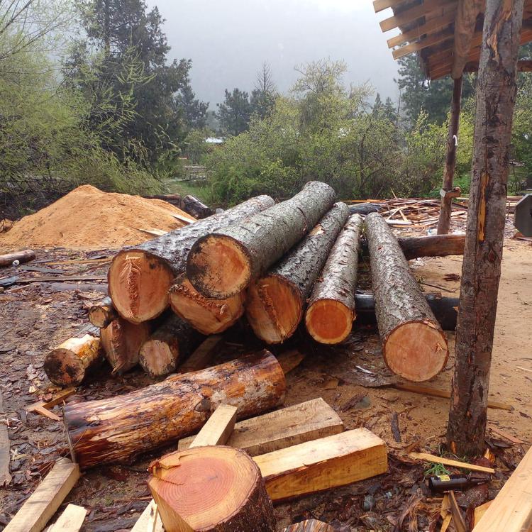 Robo madera Puelo (1)