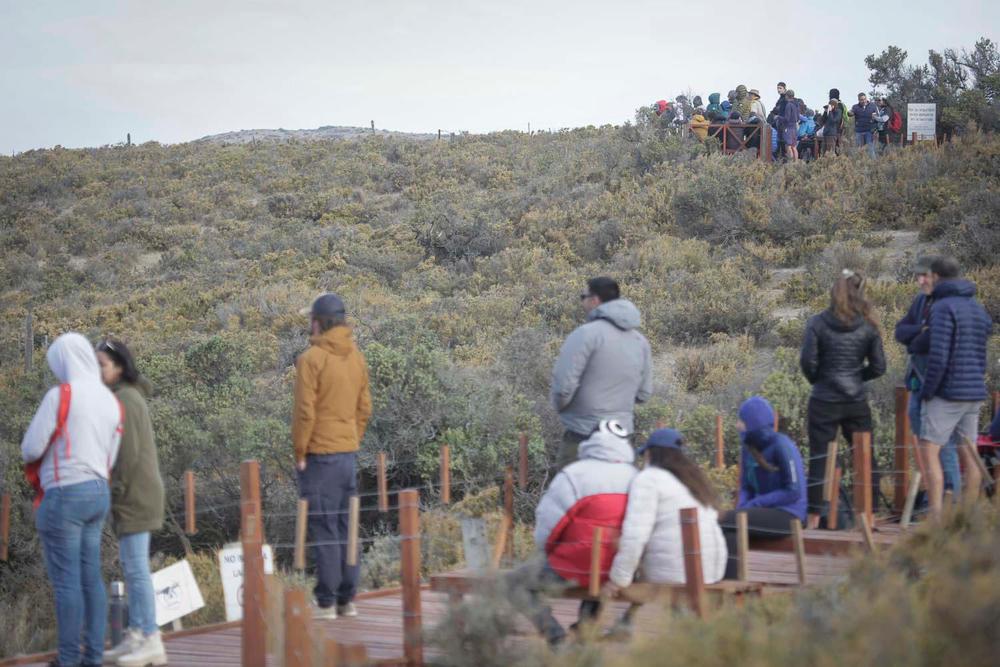 Chubut recibirá un Fam Tour de Agencias de Viaje Internacionales (4)