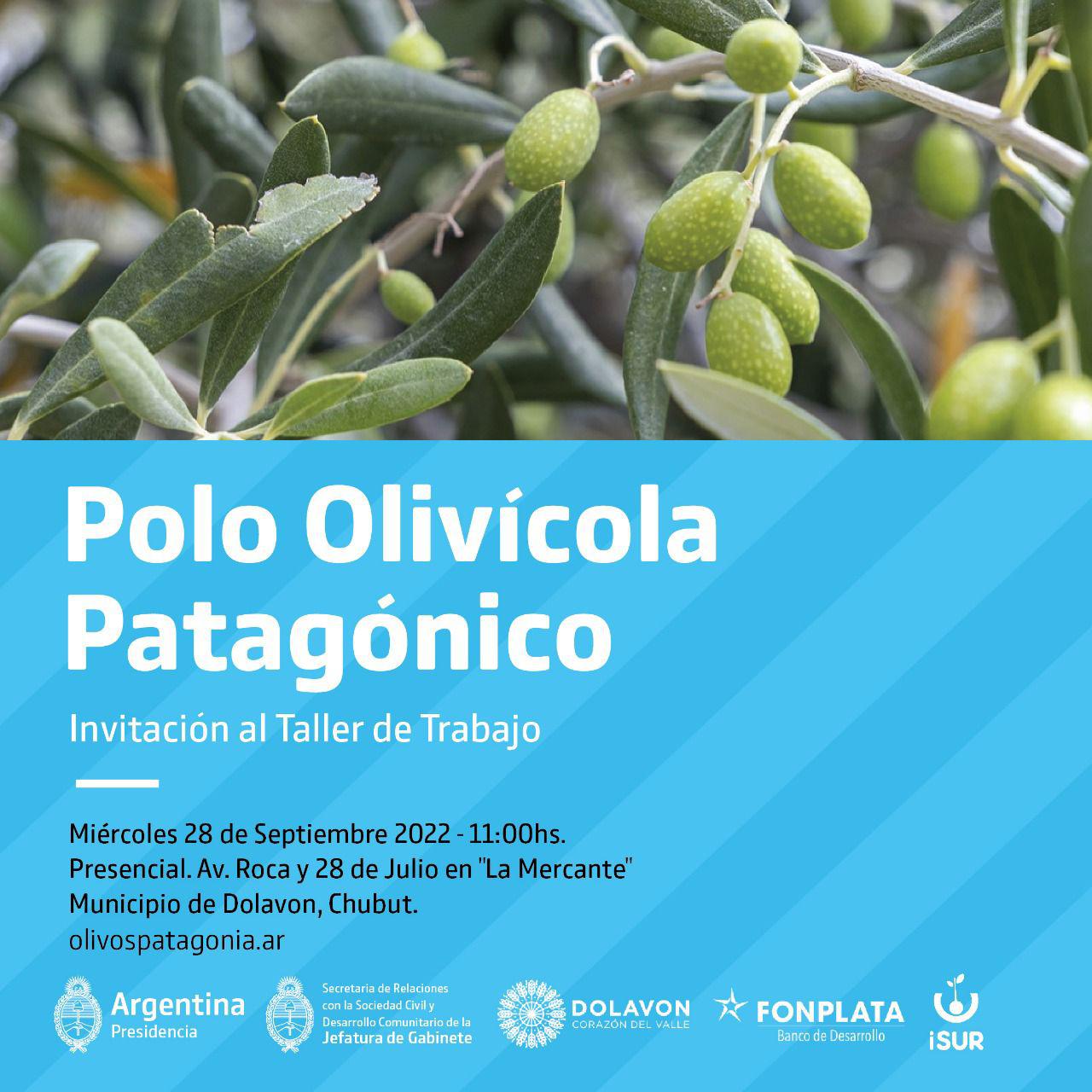 Invitacion Polo Olivicola