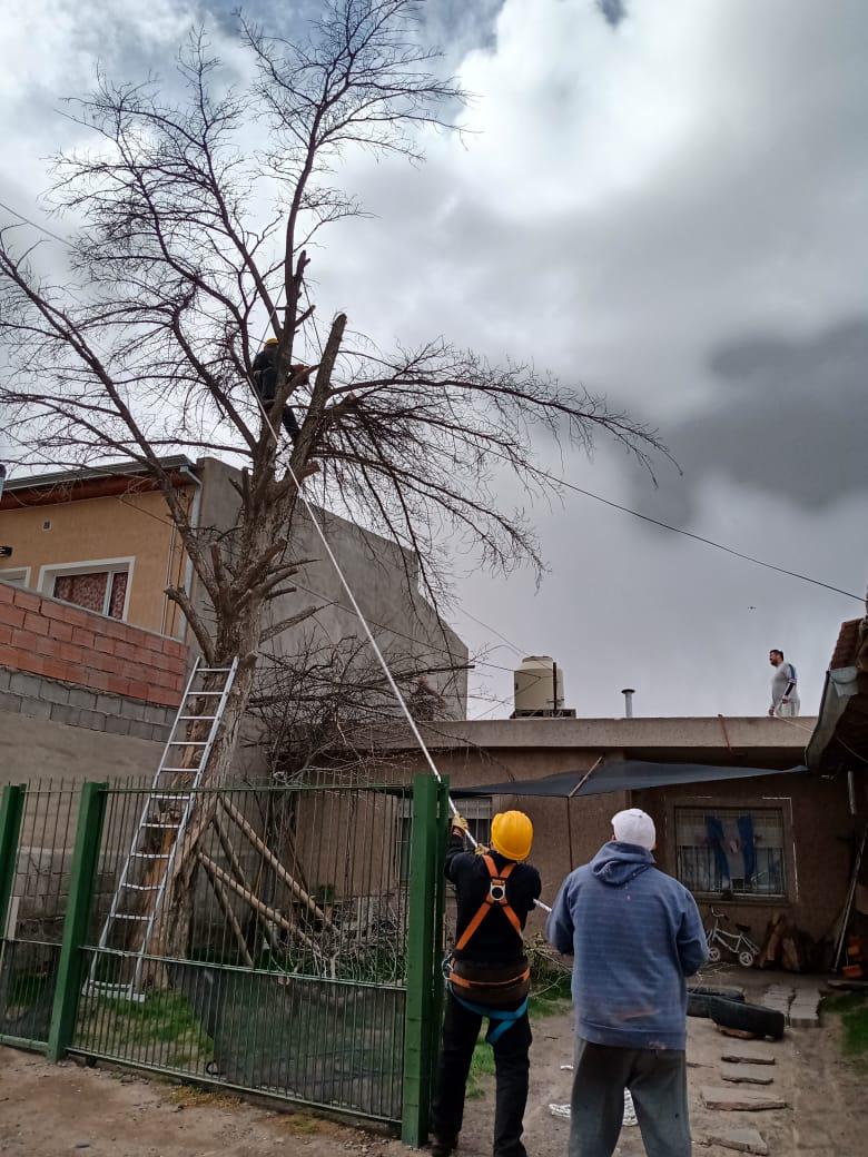 Viento Trelew (1)