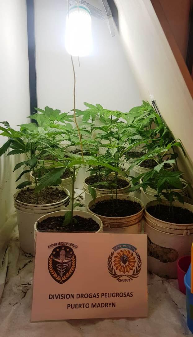 ALLAN. PTO MADRYN (3)