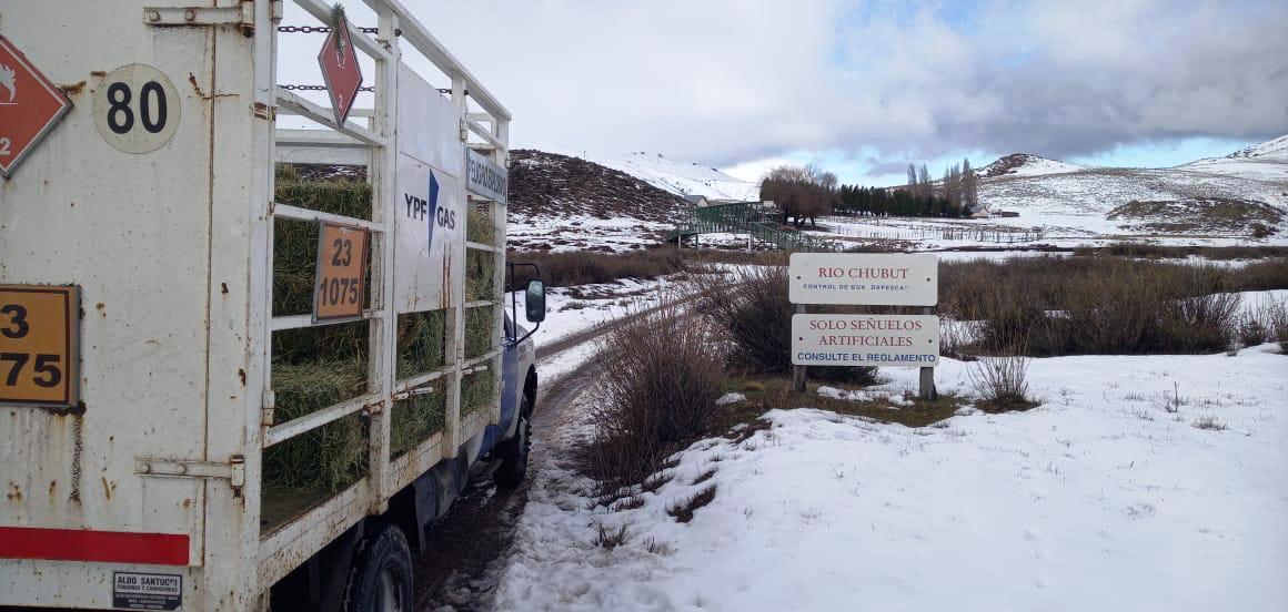 Petrominera SE Cushamen (4)